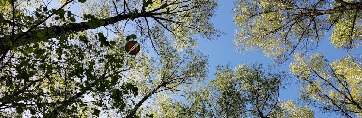 Поздравляем с днем святых жен-мироносиц!